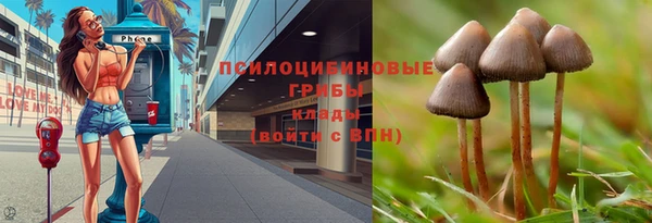 хмурый Балахна