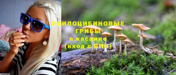 хмурый Балахна