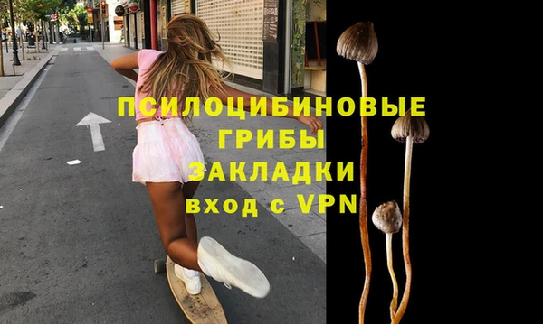 хмурый Балахна