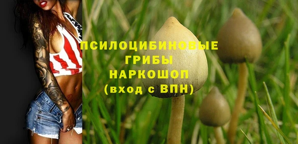 хмурый Балахна