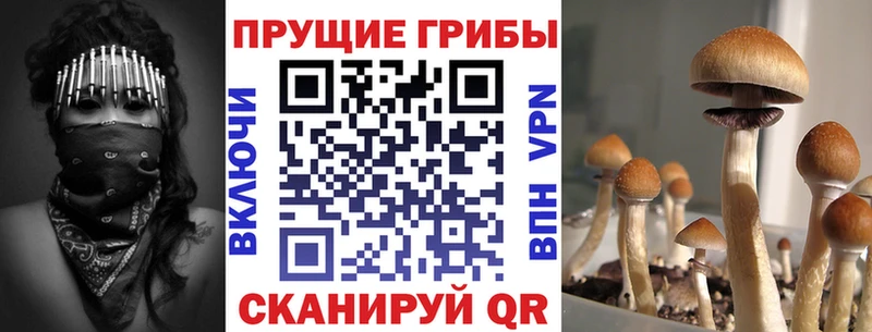 Галлюциногенные грибы GOLDEN TEACHER  нарко площадка наркотические препараты  Нязепетровск 